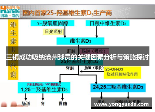 三镇成功吸纳沧州球员的关键因素分析与策略探讨
