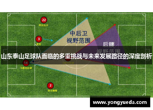 山东泰山足球队面临的多重挑战与未来发展路径的深度剖析
