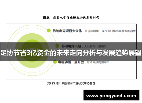 足协节省3亿资金的未来走向分析与发展趋势展望